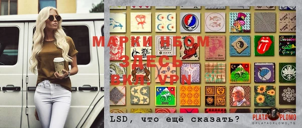 ECSTASY Ладушкин