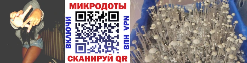 кракен ТОР  Хадыженск  Псилоцибиновые грибы Magic Shrooms 